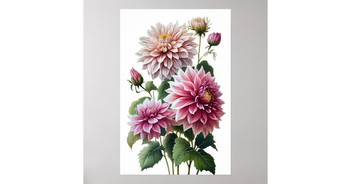 Pink Dahlias Flower Art Print Poster | Zazzle