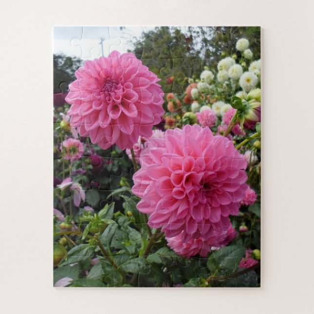 Pink Dahlias Jigsaw Puzzle (Vertical)