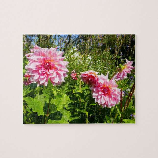 Pink Dahlias (Otto's Thrill) Jigsaw Puzzle (Horizontal)