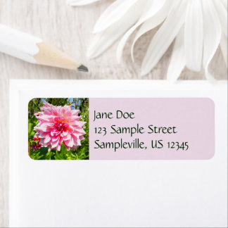 Pink Dahlias (Otto's Thrill) Label