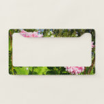 Pink Dahlias (Otto's Thrill) License Plate Frame