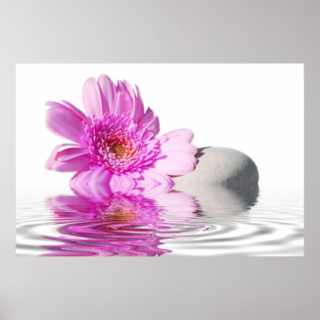 Pink daisie poster (Front)