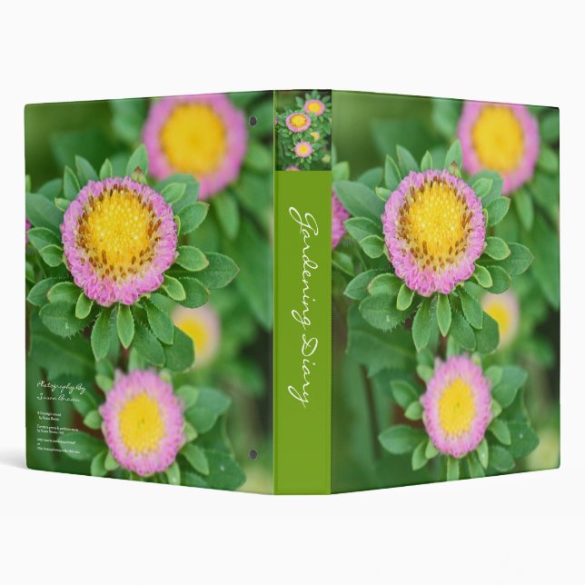 Pink Daisies 3 Ring Binder (Background)