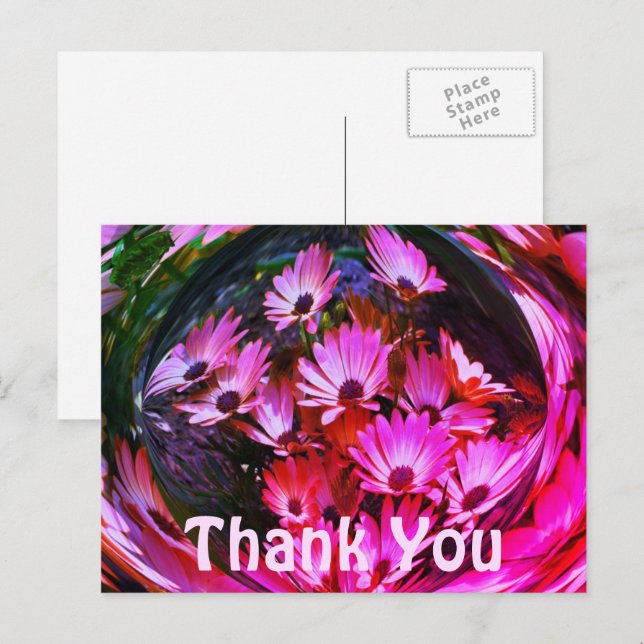 Pink Daisies Abstract Floral Thank You Postcard (Front/Back)