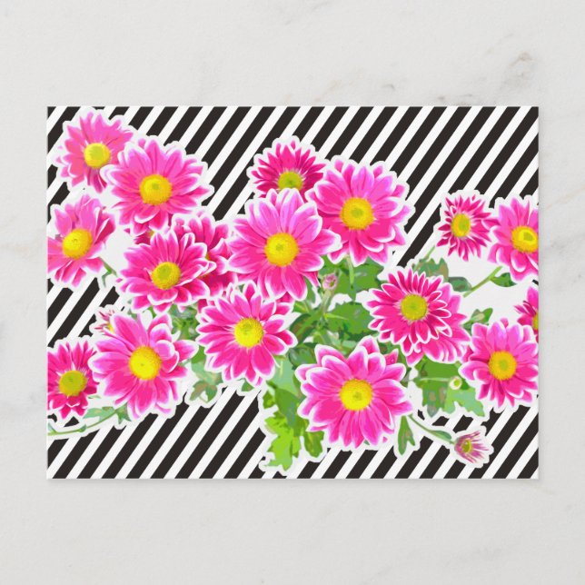 Pink Daisies / Asters Bouquet & Strips + your idea Postcard (Front)