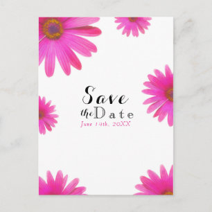 Pink Daisies Floral Daisy Elegant Save the Date Announcement Postcard