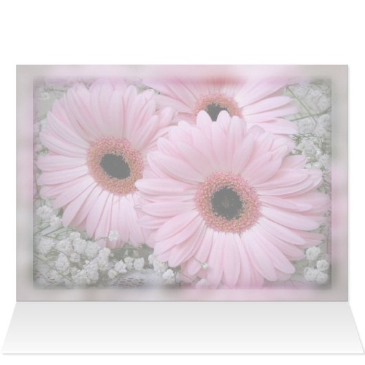 Pink Daisies-Gerberas blank card (Inside Horizontal (Top))