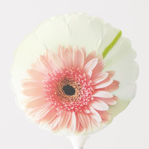 Pink daisy balloon