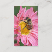 Pink Daisy Bee Flower Photography Business Card (Back)