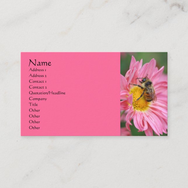 Pink Daisy Bee Flower Photography Business Card (Front)