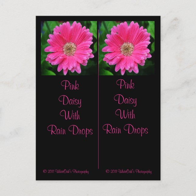 Pink Daisy Bookmark Postcard (Front)