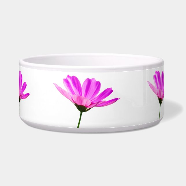 Pink Daisy  Bowl (Front)