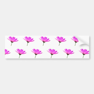Pink Daisy  Bumper Sticker