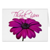 Pink daisy - Card (Front Horizontal)