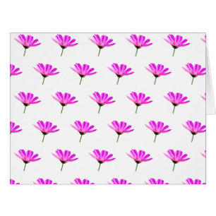 Pink Daisy Cards