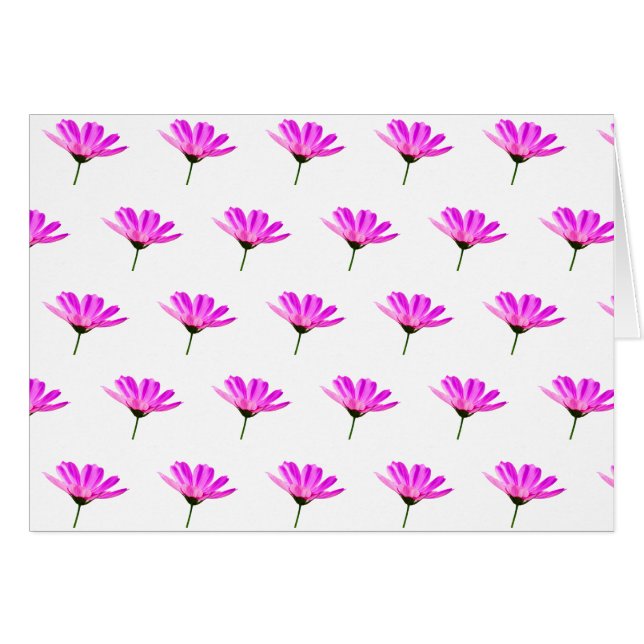 Pink Daisy   Cards (Front Horizontal)