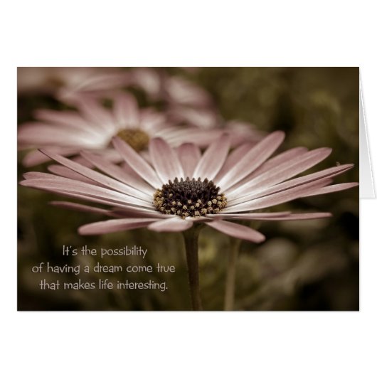 Pink Daisy Cards (Front Horizontal)
