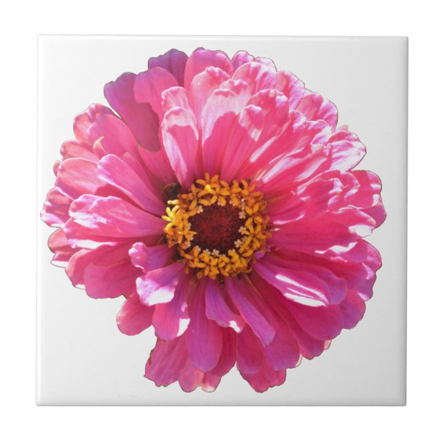 Pink Daisy Ceramic Tile (Front)