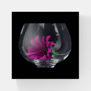 Pink Daisy Closeup In A Wine Glass Paperweight