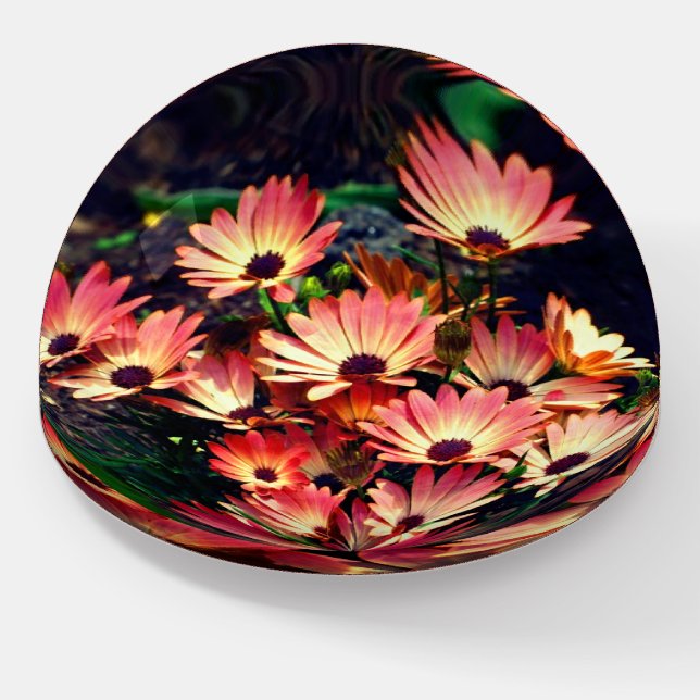 Pink Daisy Energies Floral Abstract Art Paperweight (Angled)