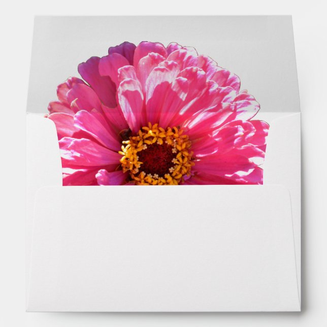 Pink Daisy Envelope (Back (Bottom))