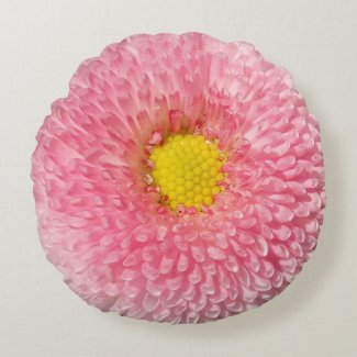 Pink Daisy floral beauty round  cushion