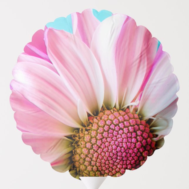 Pink Daisy Flower Bloom Balloon (Back)