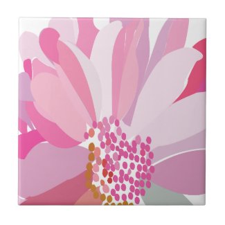 Pink Daisy Flower   