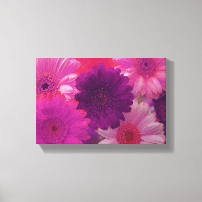 Pink Daisy Flower Photo Canvas Wall Art Print (Front)