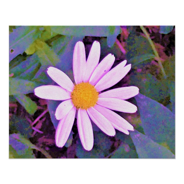 Pink Daisy Flower Poster (Front)