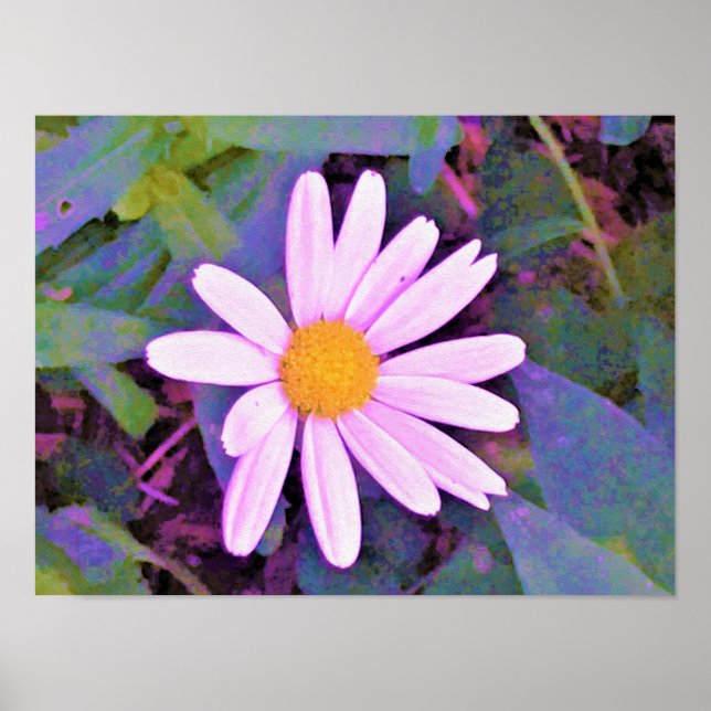 Pink Daisy Flower Poster (Front)