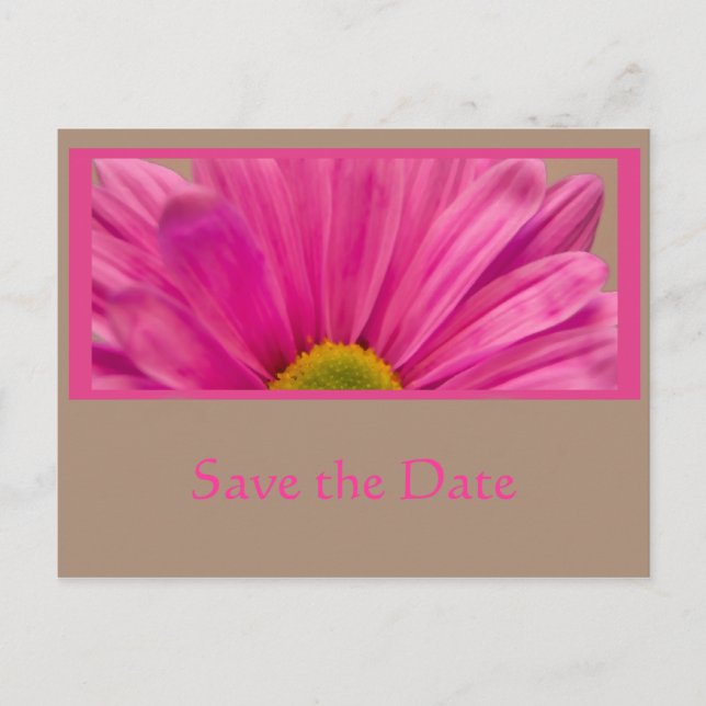 Pink Daisy Flower Save the Date Announcement Postcard (Front)
