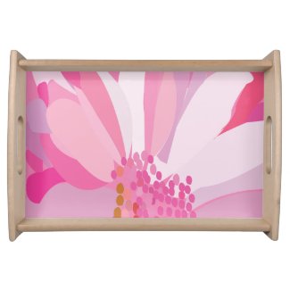 Pink Daisy Flower  