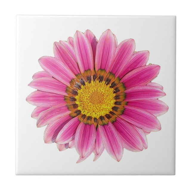 Pink Daisy Flower White Background Ceramic Tile (Front)