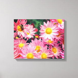 Pink Daisy Flowers And Bumble Bee Canvas Print