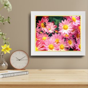 Pink Daisy Flowers And Bumble Bee Framed Framed Art