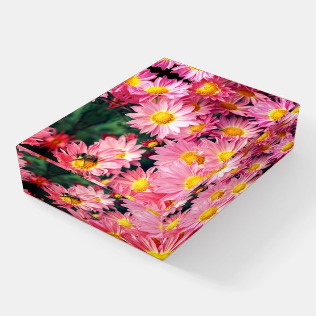 Pink Daisy Flowers And Bumble Bee   Paperweight (Angled)