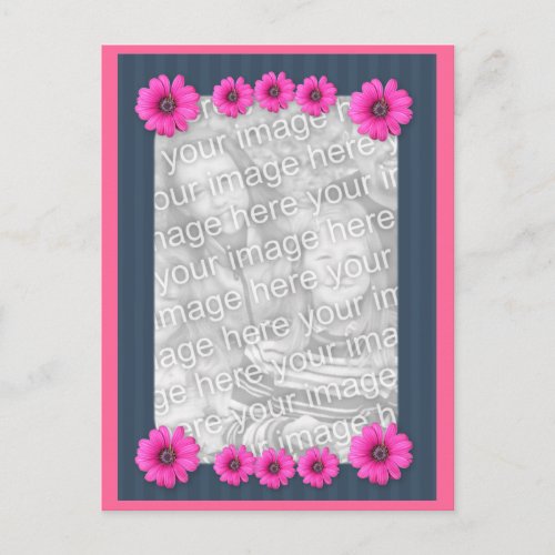 Pink Daisy Flowers Photo Postcard