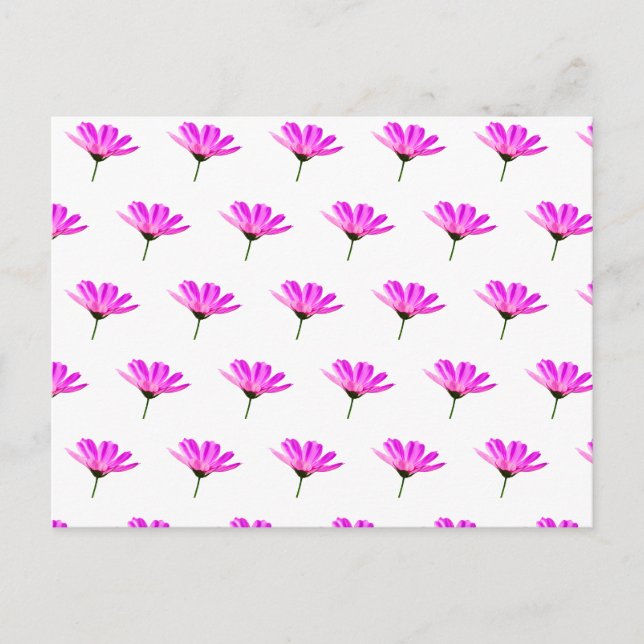 Pink Daisy  Holiday Postcard (Front)