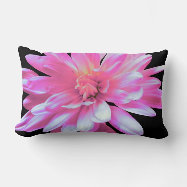 Pink daisy, lumbar pillow (Front)