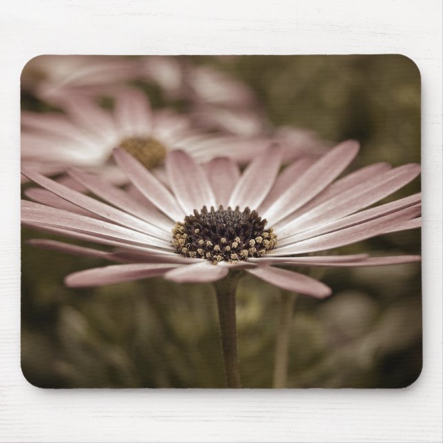 Pink Daisy macro Mouse Pad (Front)