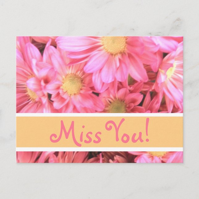 Pink Daisy "Miss You" postcard (Front)