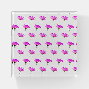 Pink Daisy Paperweight