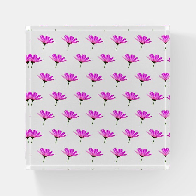 Pink Daisy  Paperweight (Front)