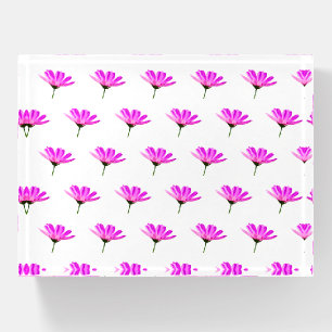 Pink Daisy Paperweight