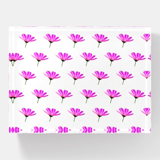 Pink Daisy   Paperweight (Front)