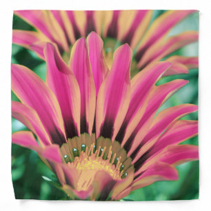 Pink Daisy Petals Bandana