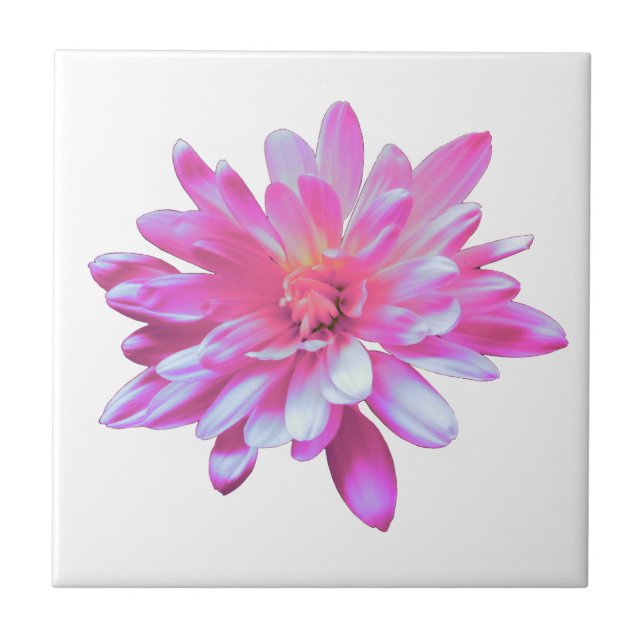 Pink Daisy pink floral pink flower Ceramic Tile (Front)