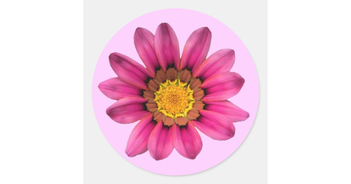 Pink Daisy Sticker Pink Daisy Sticker | Zazzle