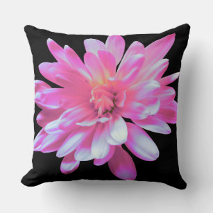 Pink daisy, throw pillow